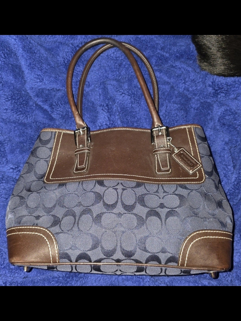 Coach Signature Canvas Tote Bag in Navy and Brown